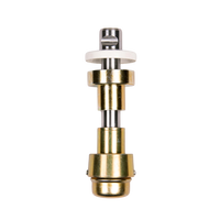 Kit 4 Pivôs Kombi Completo C/regulagem Cambagem e 1 Pino Central